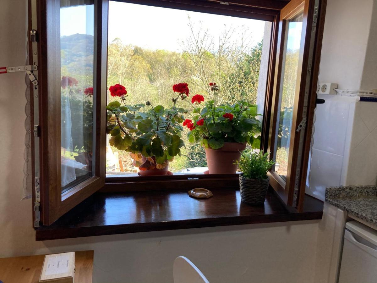 Casa Elena Cangas De Onis Con Wifi Y Parking Gratuito Exterior photo