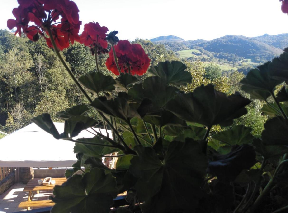 Casa Elena Cangas De Onis Con Wifi Y Parking Gratuito Exterior photo